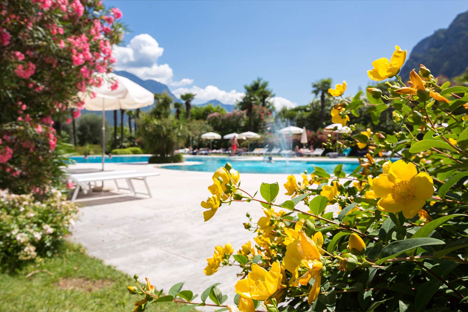 Astoria Resort | Der Park und das Pool